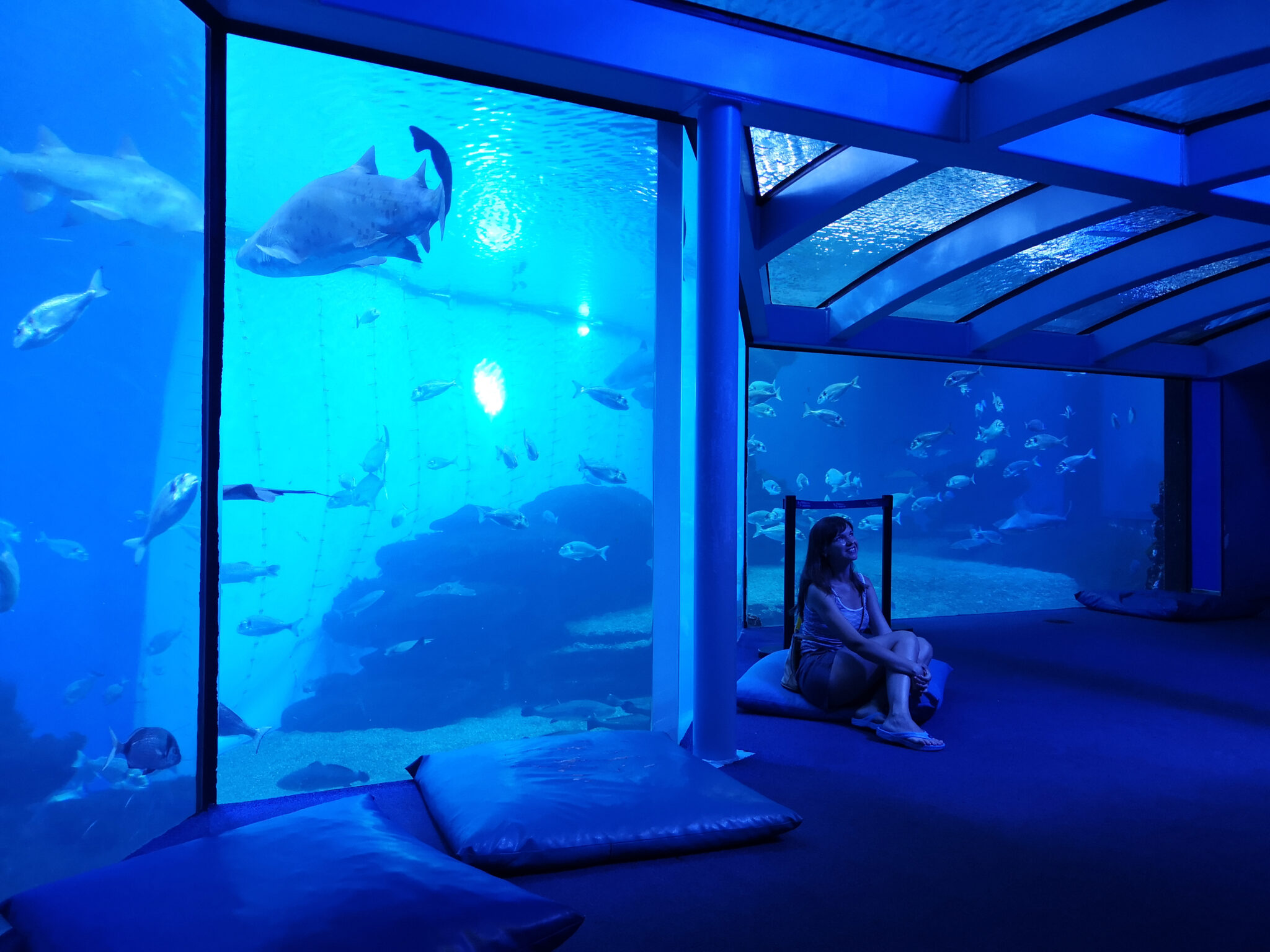 low budget travel hagenberg, student travel, Hagenberger Aquarium